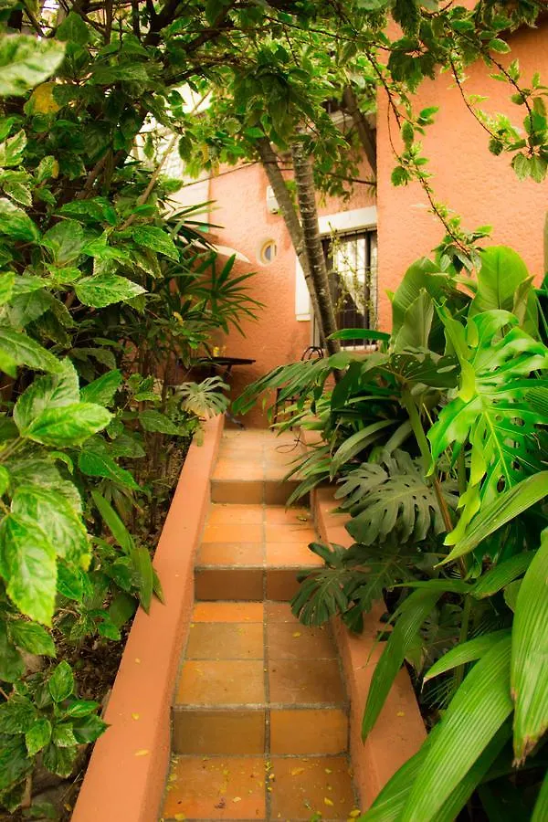 Raiz Hostel Medellín