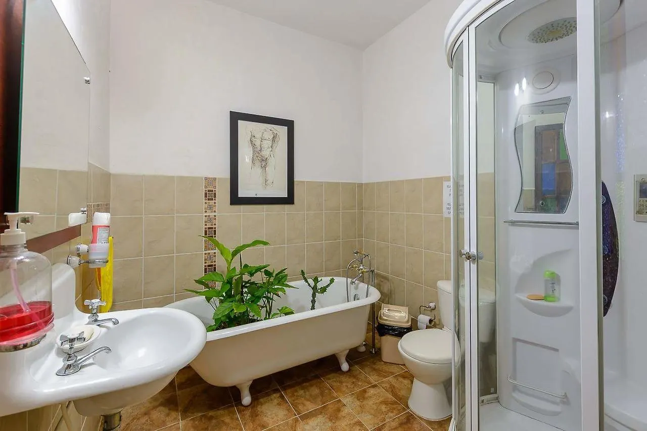 Raiz Hostel Medellín
