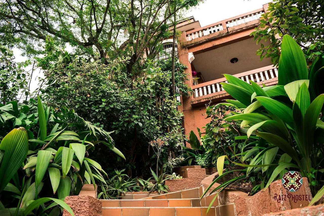 Raiz Hostel Medellín Kolumbien